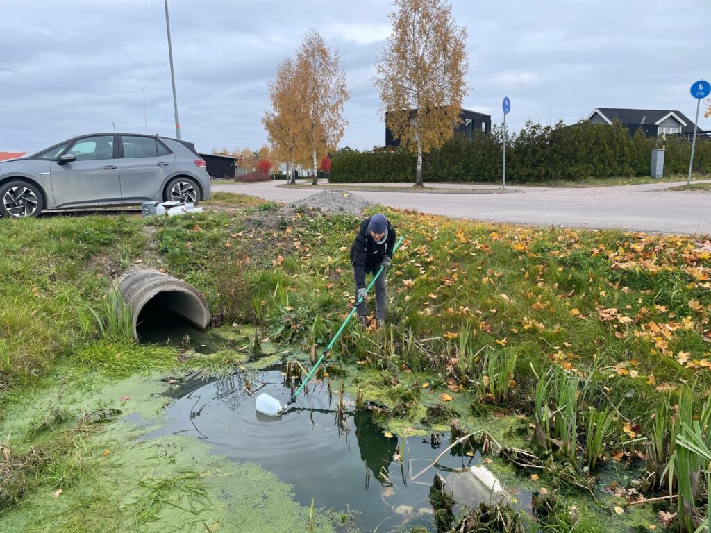 Linnakeskkond areneb pidevalt ning ehitusel ja linnaarengul on linnade kujundamisel ülioluline roll. Need protsessid kujutavad endast edusamme paljudes valdkond